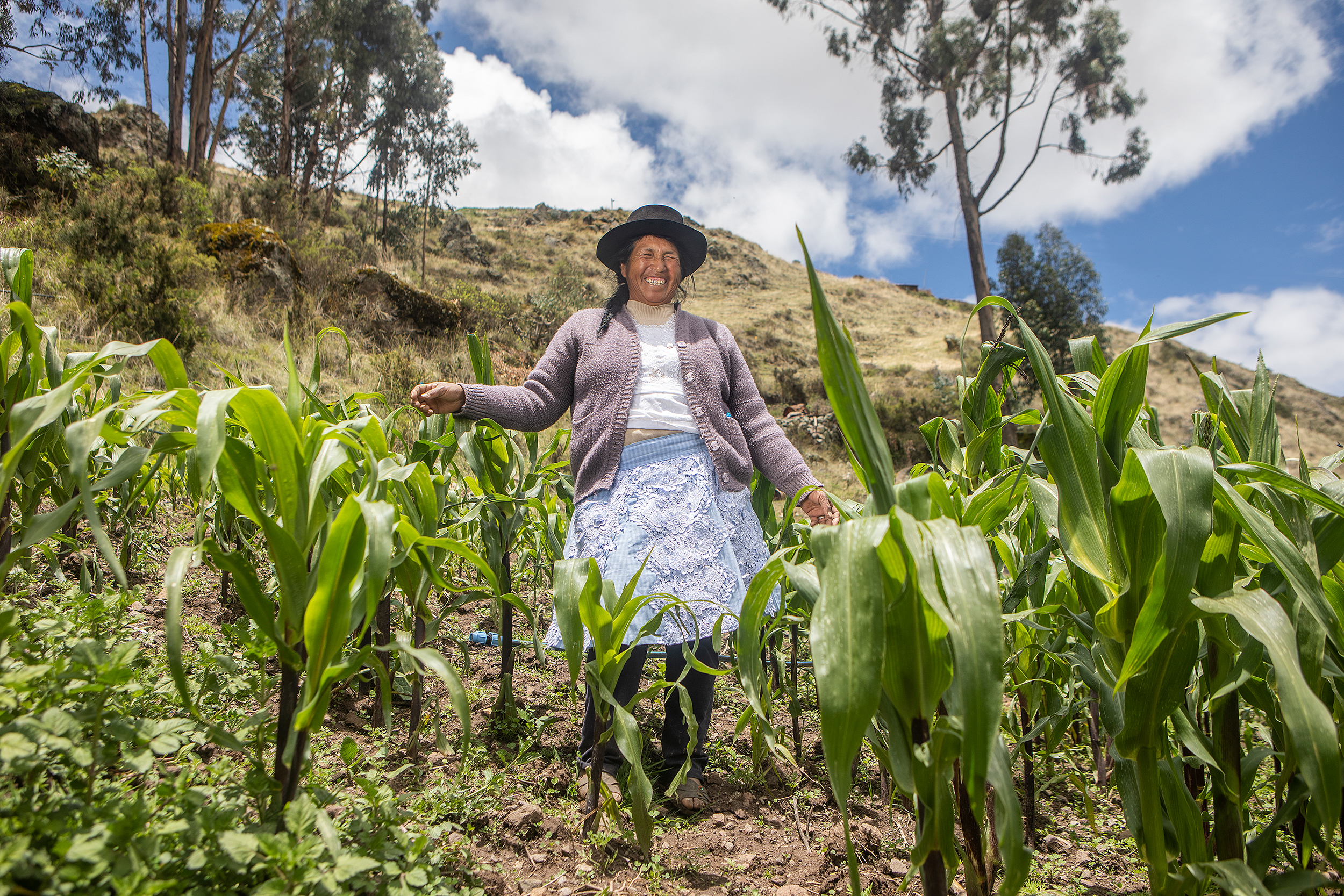 Alimentación y medios de vida, 120 proyectos